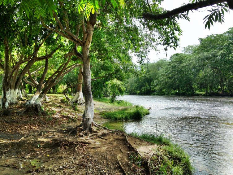 Crooked Tree Wildlife Sanctuary, Belize